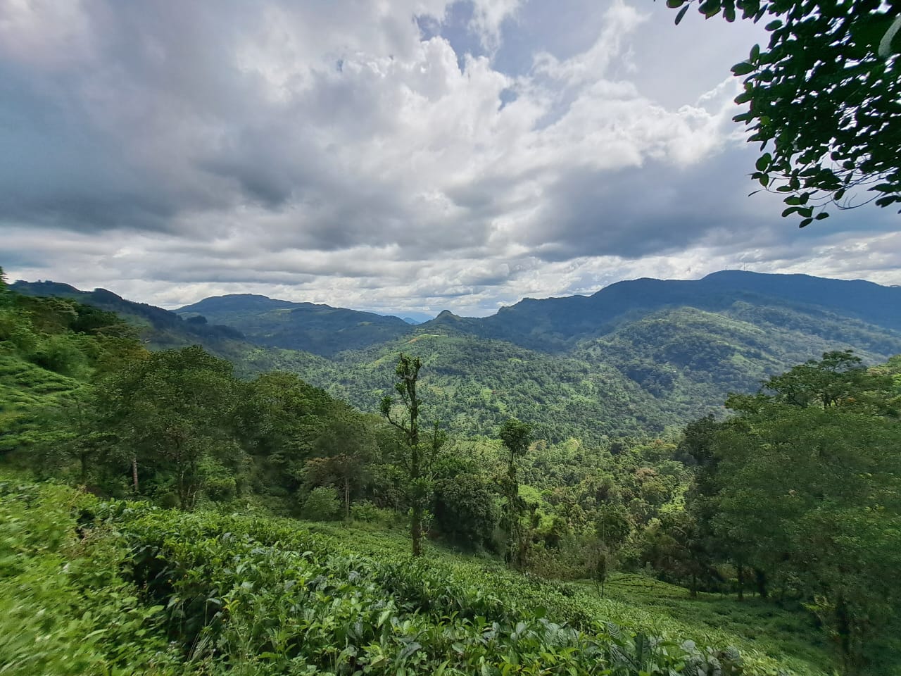 Yala National Park